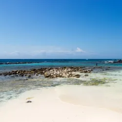 Baby Beach - Sint Nicolaas