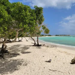 Baby Beach - Sint Nicolaas