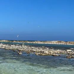 Baby Beach - Sint Nicolaas
