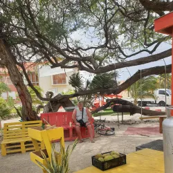 Cosecha Artisanal Market - Sint Nicolaas