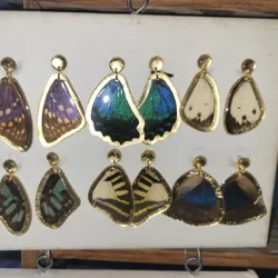 Cosecha Artisanal Market - Sint Nicolaas