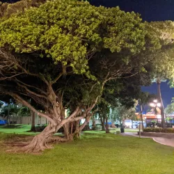 Wilhelmina Park - Sint Nicolaas