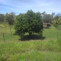 Adelaide River Railway Station - Adelaide River