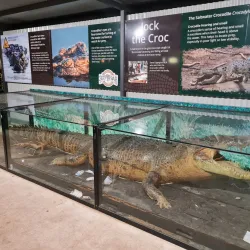 Adelaide River Tavern - Adelaide River