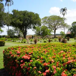 Adelaide River War Cemetery - Adelaide River
