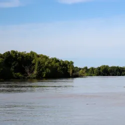 Jumping Crocodile Cruise - Adelaide River