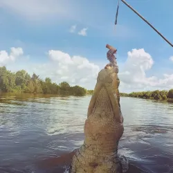 Jumping Crocodile Cruise - Adelaide River