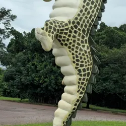 Jumping Crocodile Cruise - Adelaide River