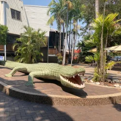 Jumping Crocodile Cruise - Adelaide River