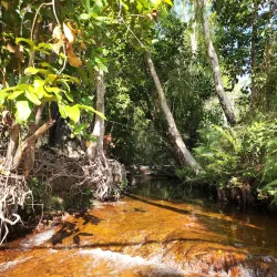 Litchfield National Park - Adelaide River