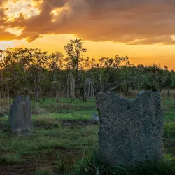 Litchfield National Park - Adelaide River