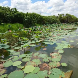 Mary River National Park - Adelaide River