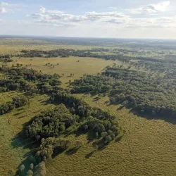 Mary River National Park - Adelaide River
