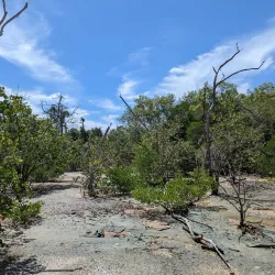 Mary River National Park - Adelaide River