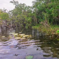 Mary River National Park - Adelaide River