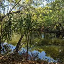 Mary River National Park - Adelaide River