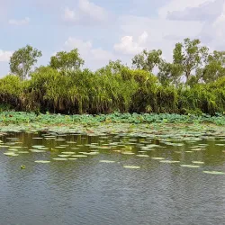 Mary River National Park - Adelaide River