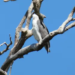 Mary River National Park - Adelaide River