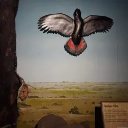 Window on the Wetlands Visitor Centre - Adelaide River