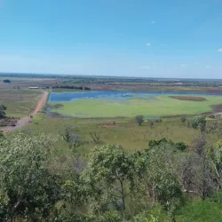 Window on the Wetlands Visitor Centre - Adelaide River