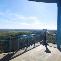 Window on the Wetlands Visitor Centre - Adelaide River
