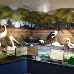 Window on the Wetlands Visitor Centre - Adelaide River