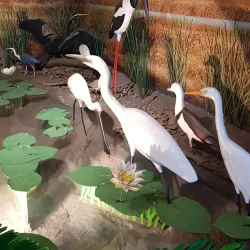 Window on the Wetlands Visitor Centre - Adelaide River