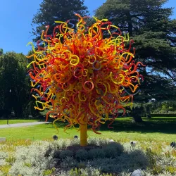 Adelaide Botanic Garden - Adelaide