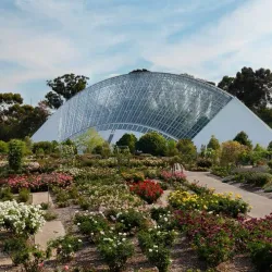 Adelaide Botanic Garden - Adelaide
