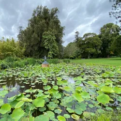 Adelaide Botanic Garden - Adelaide
