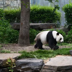 Adelaide Zoo - Adelaide