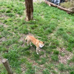 Cleland Wildlife Park - Adelaide