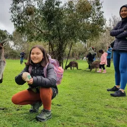 Cleland Wildlife Park - Adelaide