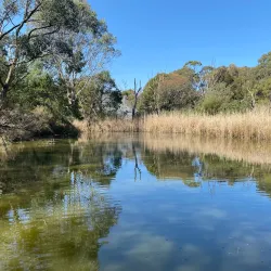 Cleland Wildlife Park - Adelaide