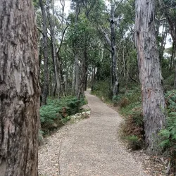 Mount Lofty Summit - Adelaide