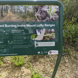 Mount Lofty Summit - Adelaide