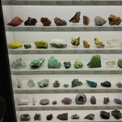 South Australian Museum - Adelaide