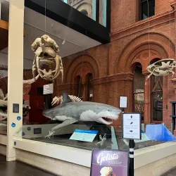 South Australian Museum - Adelaide