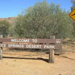 Alice Springs Desert Park - Alice Springs
