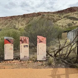 Alice Springs Desert Park - Alice Springs