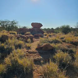 Alice Springs Telegraph Station Historical Reserve - Alice Springs