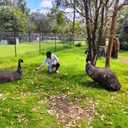 The Kangaroo Sanctuary - Alice Springs