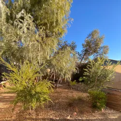 Andamooka Community Hall - Andamooka