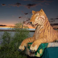 Andamooka Opal Fields - Andamooka