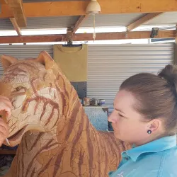 Andamooka Opal Fields - Andamooka