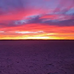 Lake Torrens National Park - Andamooka