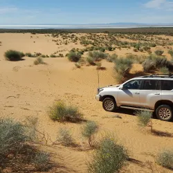 Lake Torrens National Park - Andamooka