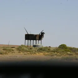 Outback Art Galleries - Andamooka