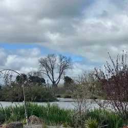 Ararat Botanic Gardens - Ararat