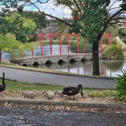 Ararat Botanic Gardens - Ararat